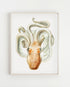 light wood framed velodona octopus illustration print wall art